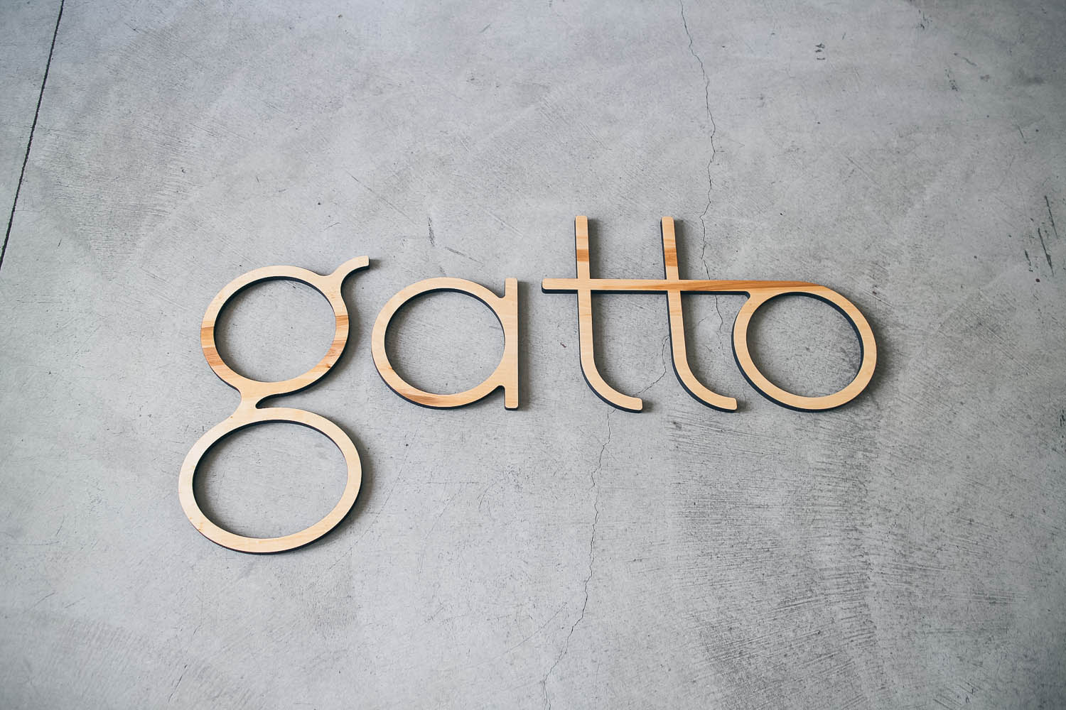 Gatto