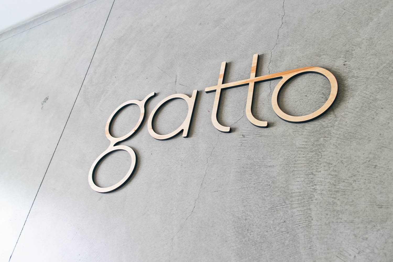 Gatto