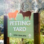 Post sign for the petting yard at Oakland Zoo