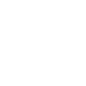 ada sign icon in white ada sign icon in white