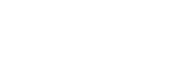 allbirds logo in white