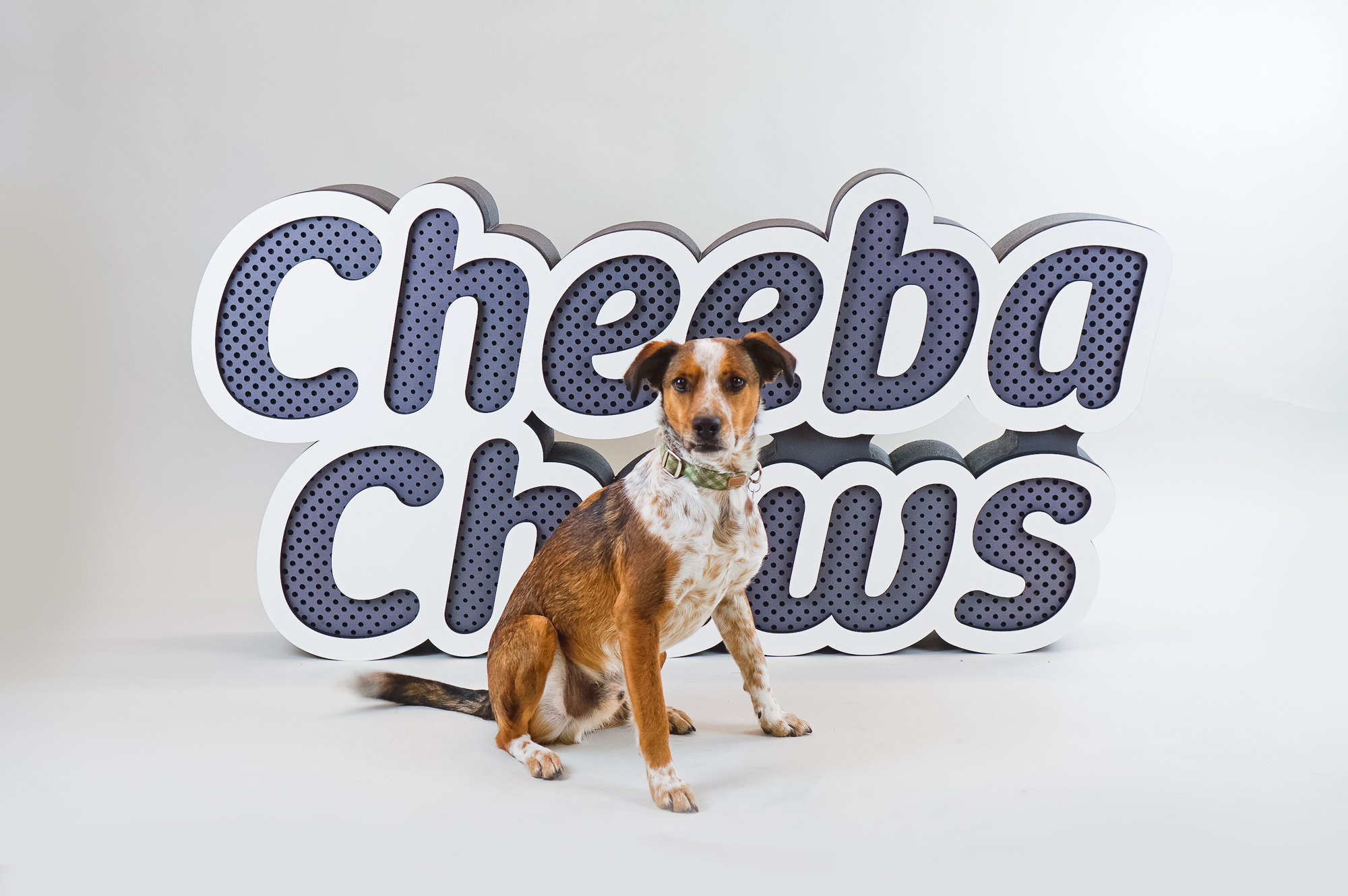 Dimensional large grey and white freestanding tradeshow floor sign for Cheeba Chews, makers of cannabis-infused edibles. Dimensional large grey and white freestanding tradeshow floor sign for Cheeba Chews, makers of cannabis-infused edibles.