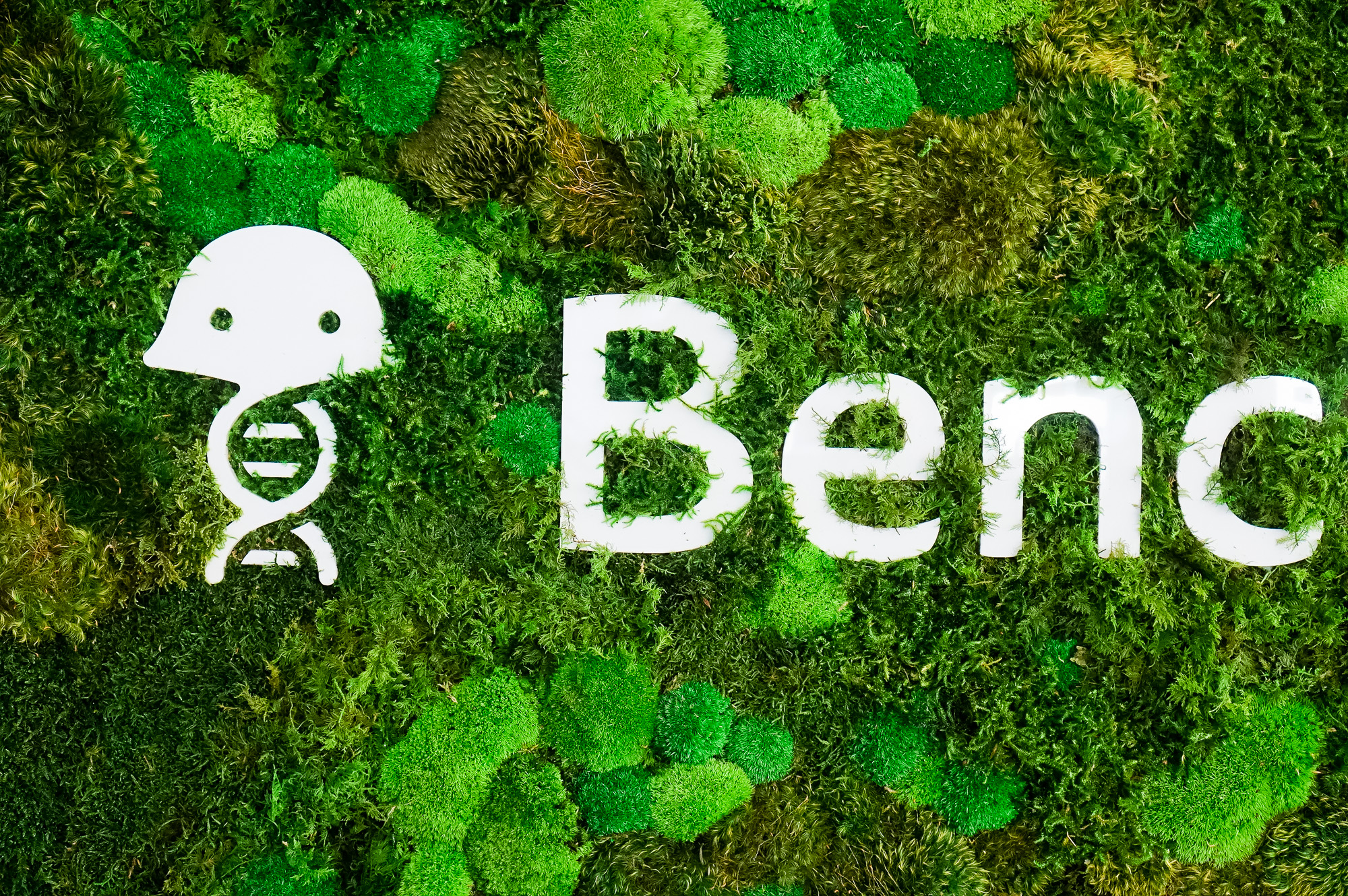 Moss-filled, framed box sign with white logo on walnut plank wall for the San Francisco office of Benchling, a unified platform to accelerate, measure, and forecast R&D from discovery through bioprocessing. Moss-filled, framed box sign with white logo on walnut plank wall for the San Francisco office of Benchling, a unified platform to accelerate, measure, and forecast R&D from discovery through bioprocessing.