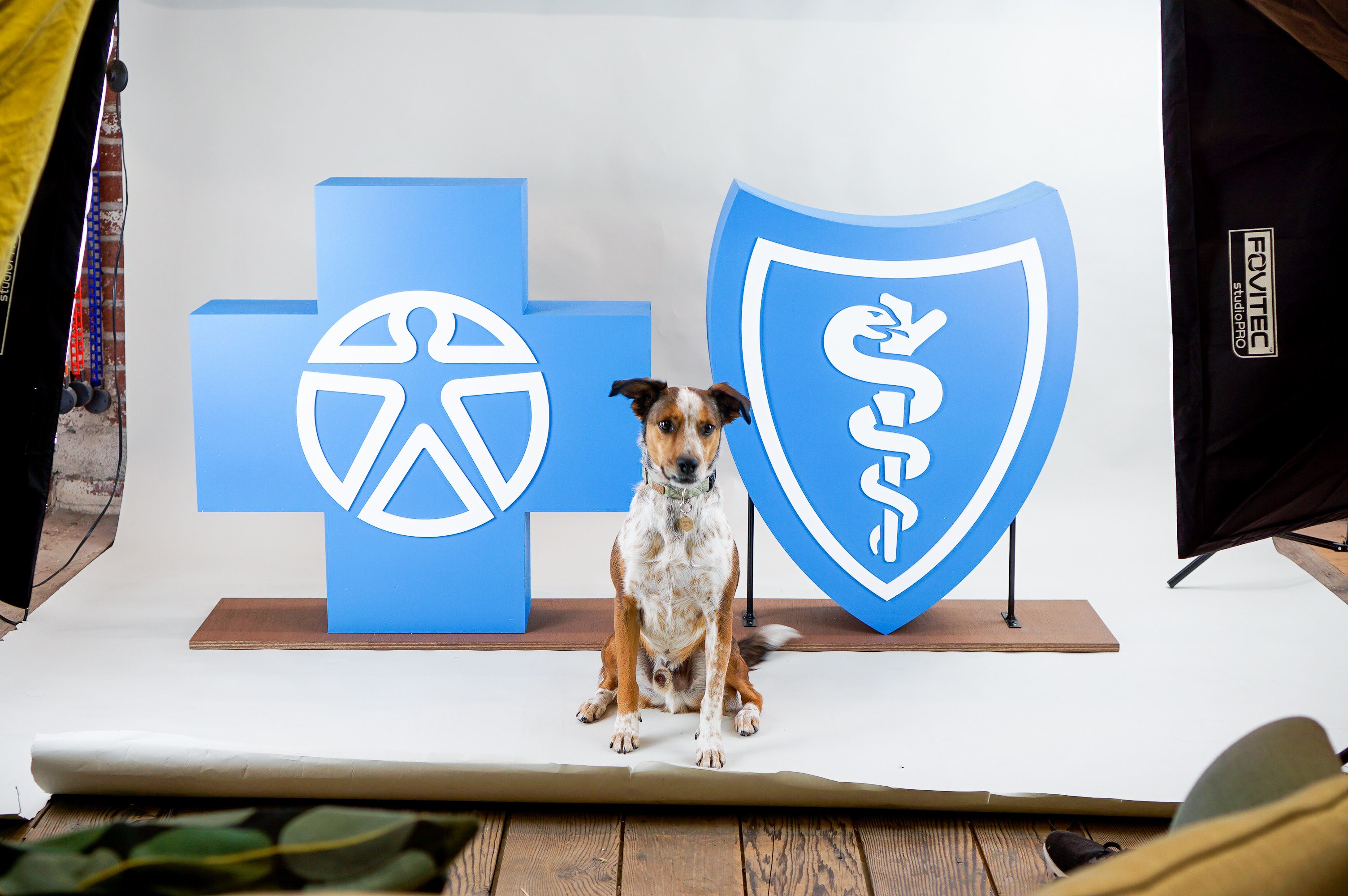 Large scale blue and white Blue Cross Blue Shield foam freestanding event logos for Aspen Event Works, a boutique event planning company specializing in creative and memorable event experiences. Large scale blue and white Blue Cross Blue Shield foam freestanding event logos for Aspen Event Works, a boutique event planning company specializing in creative and memorable event experiences.