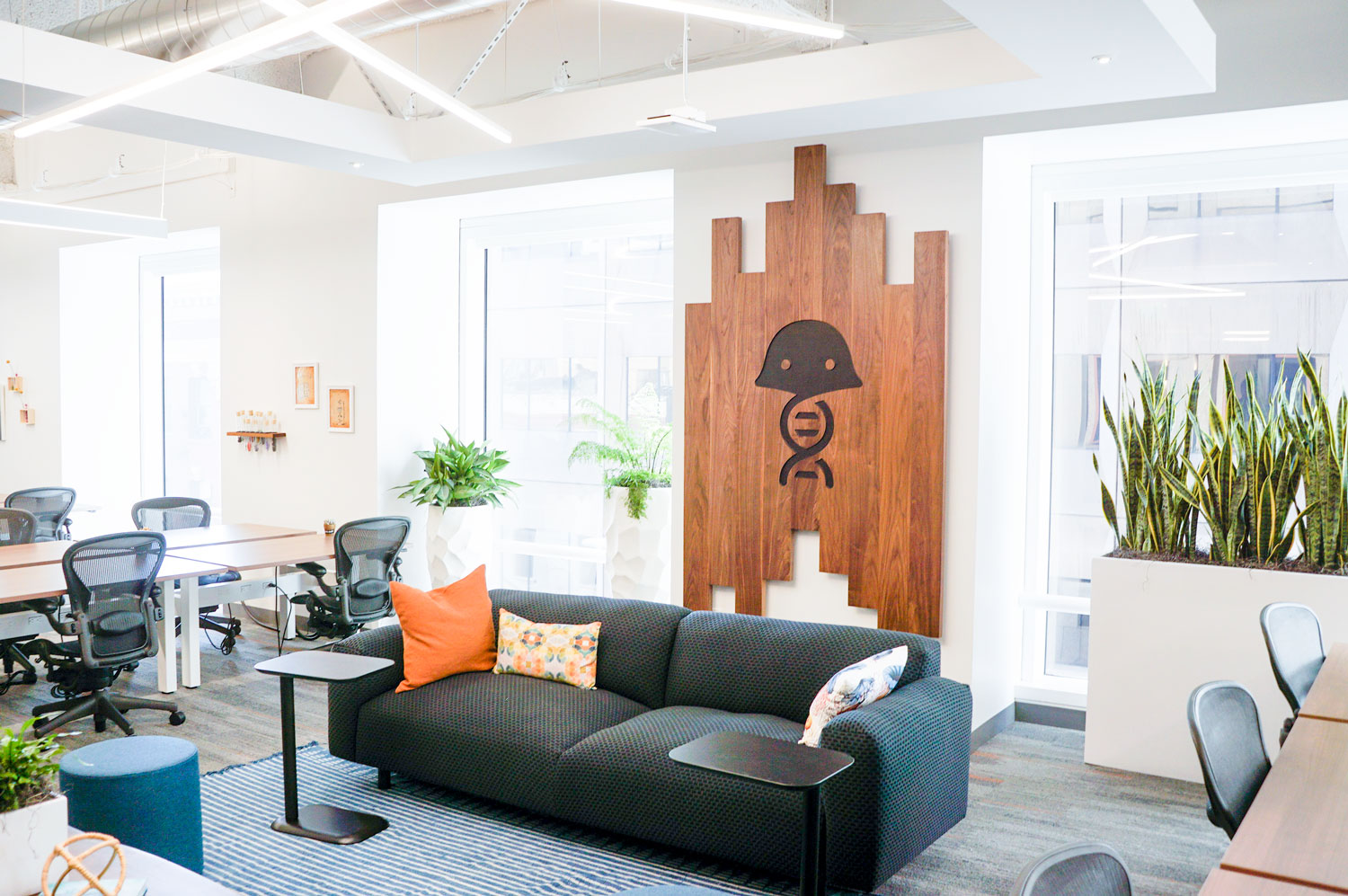 benchling-welcome-right1 Solid walnut slat sign with engraved jellyfish for the office of Benchling, a San Francisco based company working on a unified platform to accelerate, measure, and forecast R&D from discovery through bioprocessing.