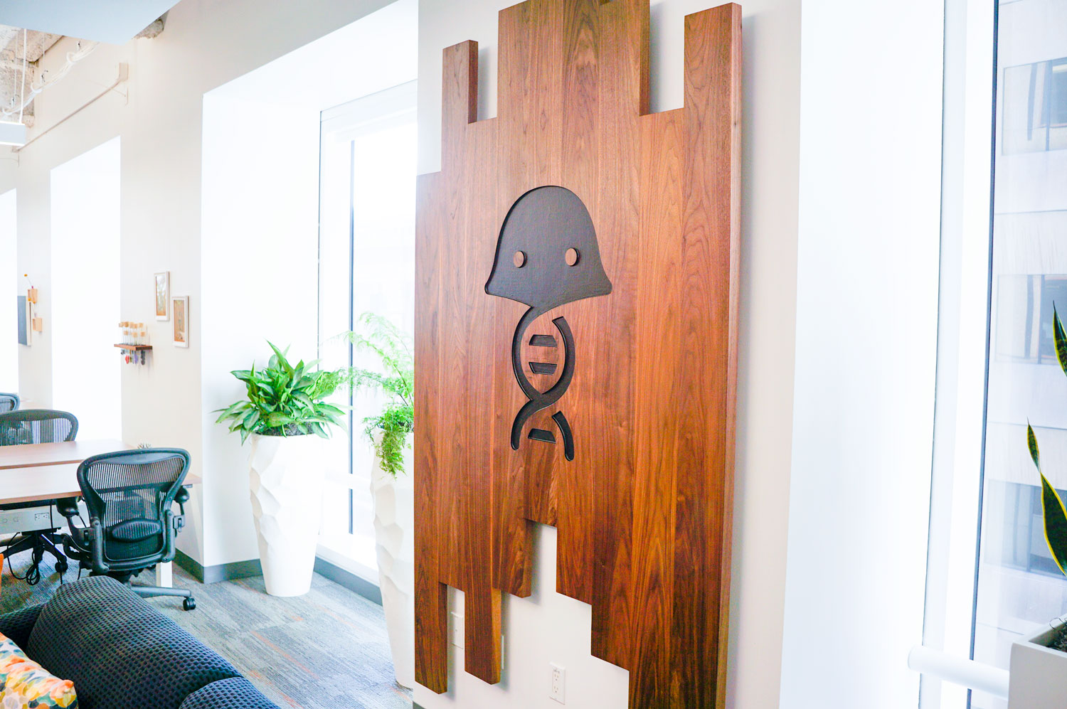 Solid walnut slat sign with engraved jellyfish for the office of Benchling, a San Francisco based company working on a unified platform to accelerate, measure, and forecast R&D from discovery through bioprocessing.