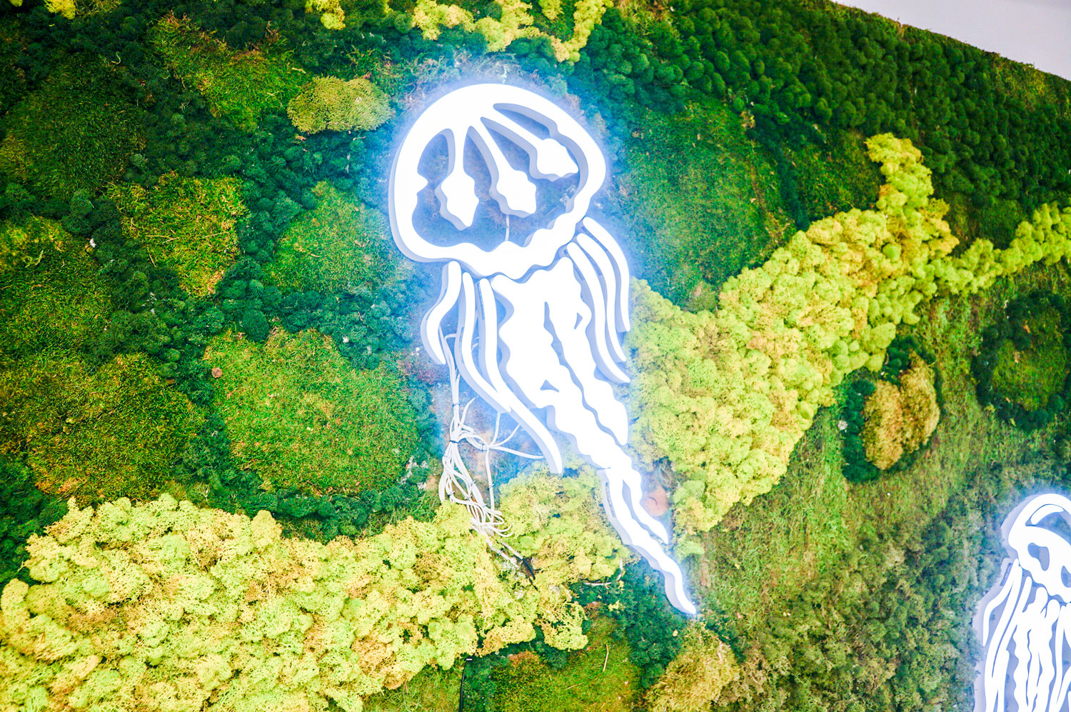 Illuminated, neon-style jellyfish on moss wall at the office of Benchling, a San Francisco based company working on a unified platform to accelerate, measure, and forecast R&D from discovery through bioprocessing. Illuminated, neon-style jellyfish on moss wall at the office of Benchling, a San Francisco based company working on a unified platform to accelerate, measure, and forecast R&D from discovery through bioprocessing.