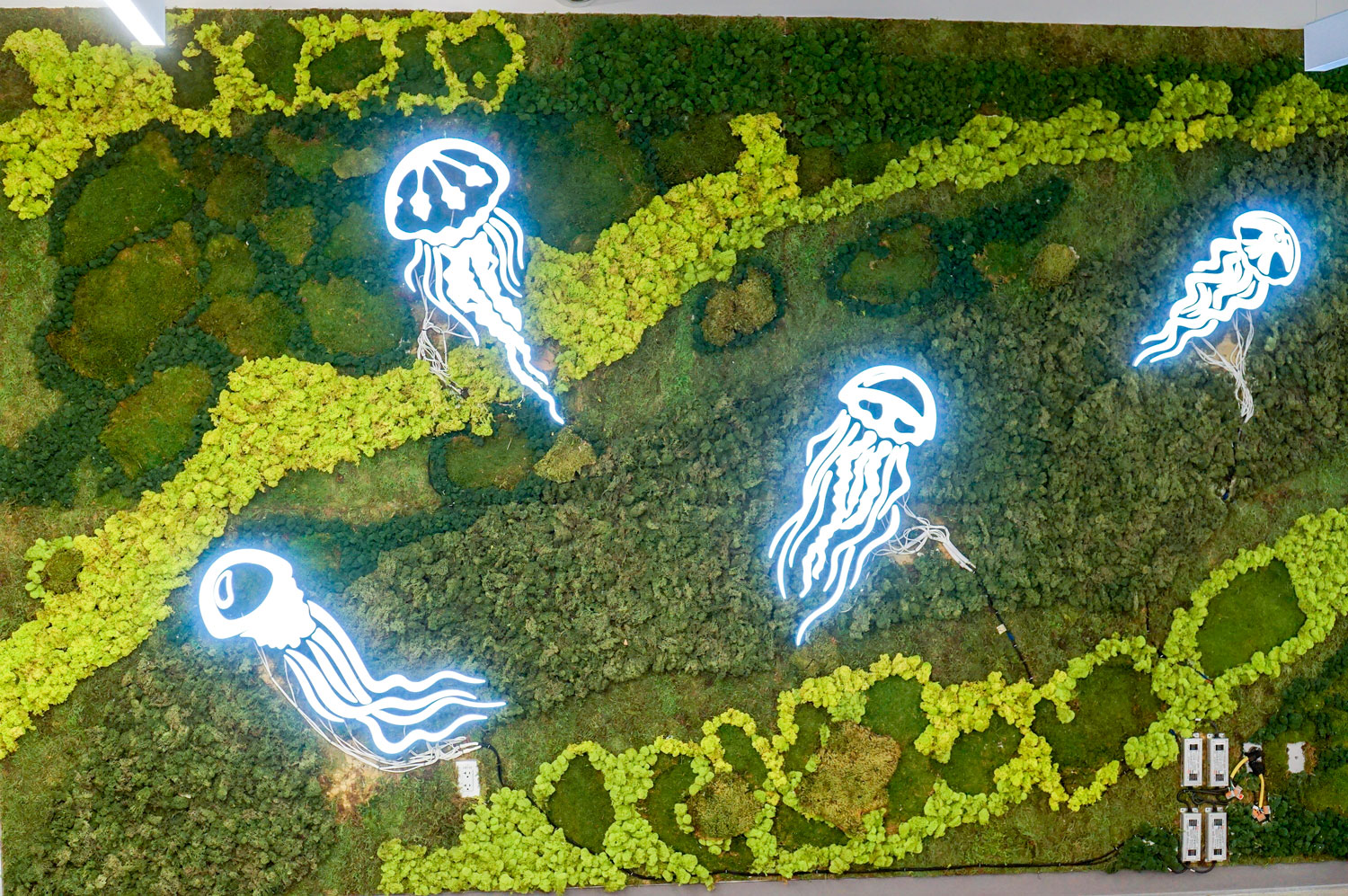 Illuminated, neon-style jellyfish on moss wall at the office of Benchling, a San Francisco based company working on a unified platform to accelerate, measure, and forecast R&D from discovery through bioprocessing. Illuminated, neon-style jellyfish on moss wall at the office of Benchling, a San Francisco based company working on a unified platform to accelerate, measure, and forecast R&D from discovery through bioprocessing.