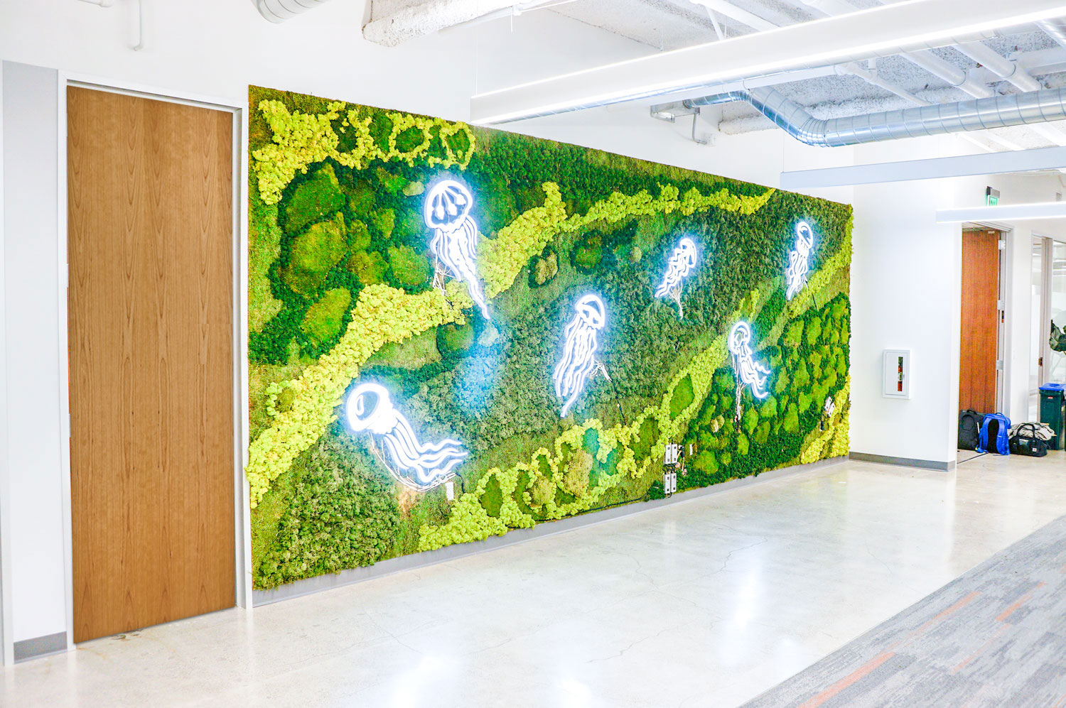 Illuminated, neon-style jellyfish on moss wall at the office of Benchling, a San Francisco based company working on a unified platform to accelerate, measure, and forecast R&D from discovery through bioprocessing.