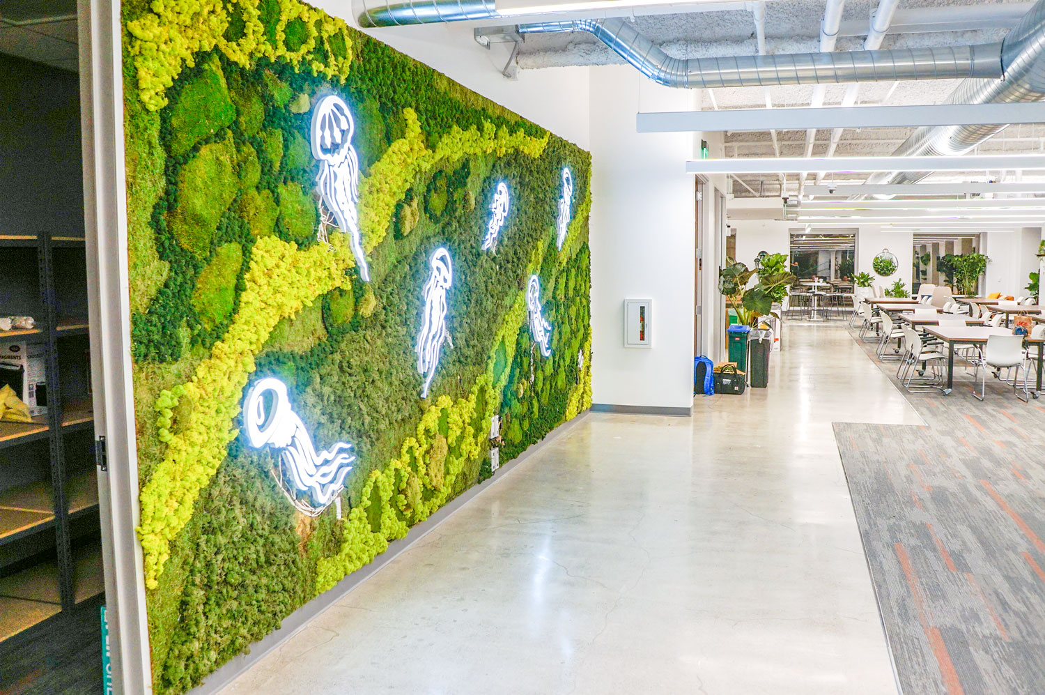 Illuminated, neon-style jellyfish on moss wall at the office of Benchling, a San Francisco based company working on a unified platform to accelerate, measure, and forecast R&D from discovery through bioprocessing. Illuminated, neon-style jellyfish on moss wall at the office of Benchling, a San Francisco based company working on a unified platform to accelerate, measure, and forecast R&D from discovery through bioprocessing.