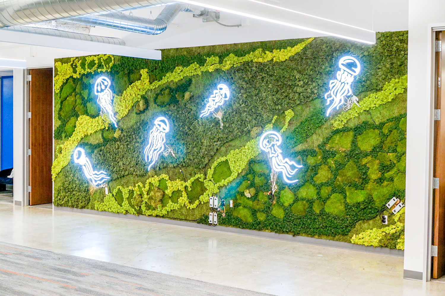 Illuminated, neon-style jellyfish on moss wall at the office of Benchling, a San Francisco based company working on a unified platform to accelerate, measure, and forecast R&D from discovery through bioprocessing. Illuminated, neon-style jellyfish on moss wall at the office of Benchling, a San Francisco based company working on a unified platform to accelerate, measure, and forecast R&D from discovery through bioprocessing.