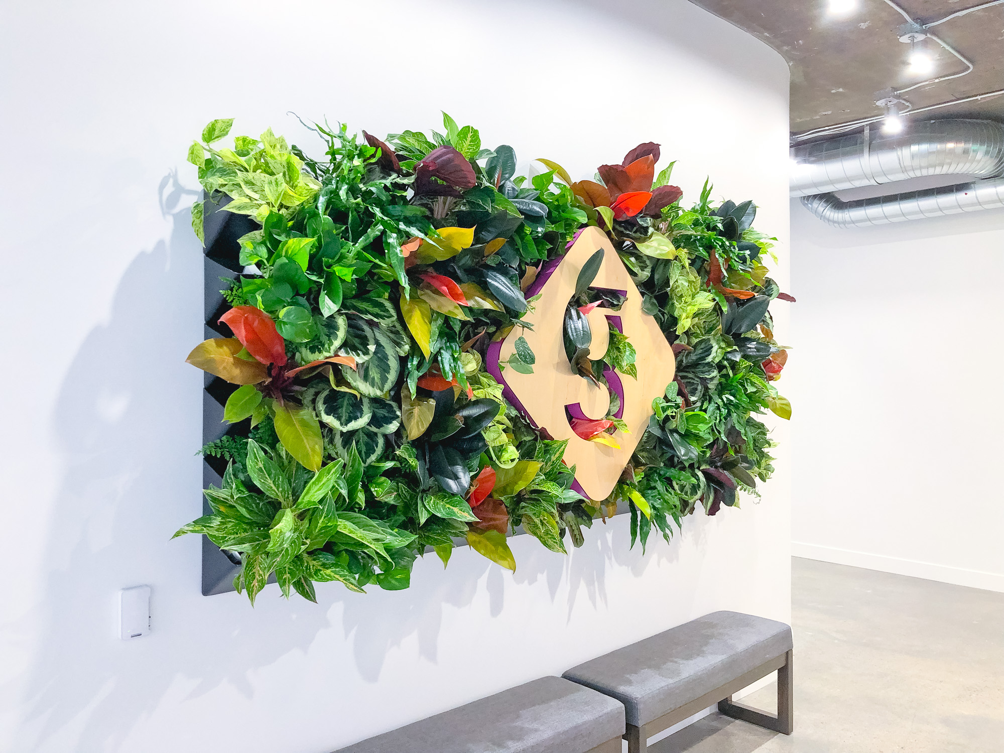 Light wood sign with colored edges on living wall for the lobby of Getaround, an online car sharing or peer-to-peer carsharing service. Light wood sign with colored edges on living wall for the lobby of Getaround, an online car sharing or peer-to-peer carsharing service.