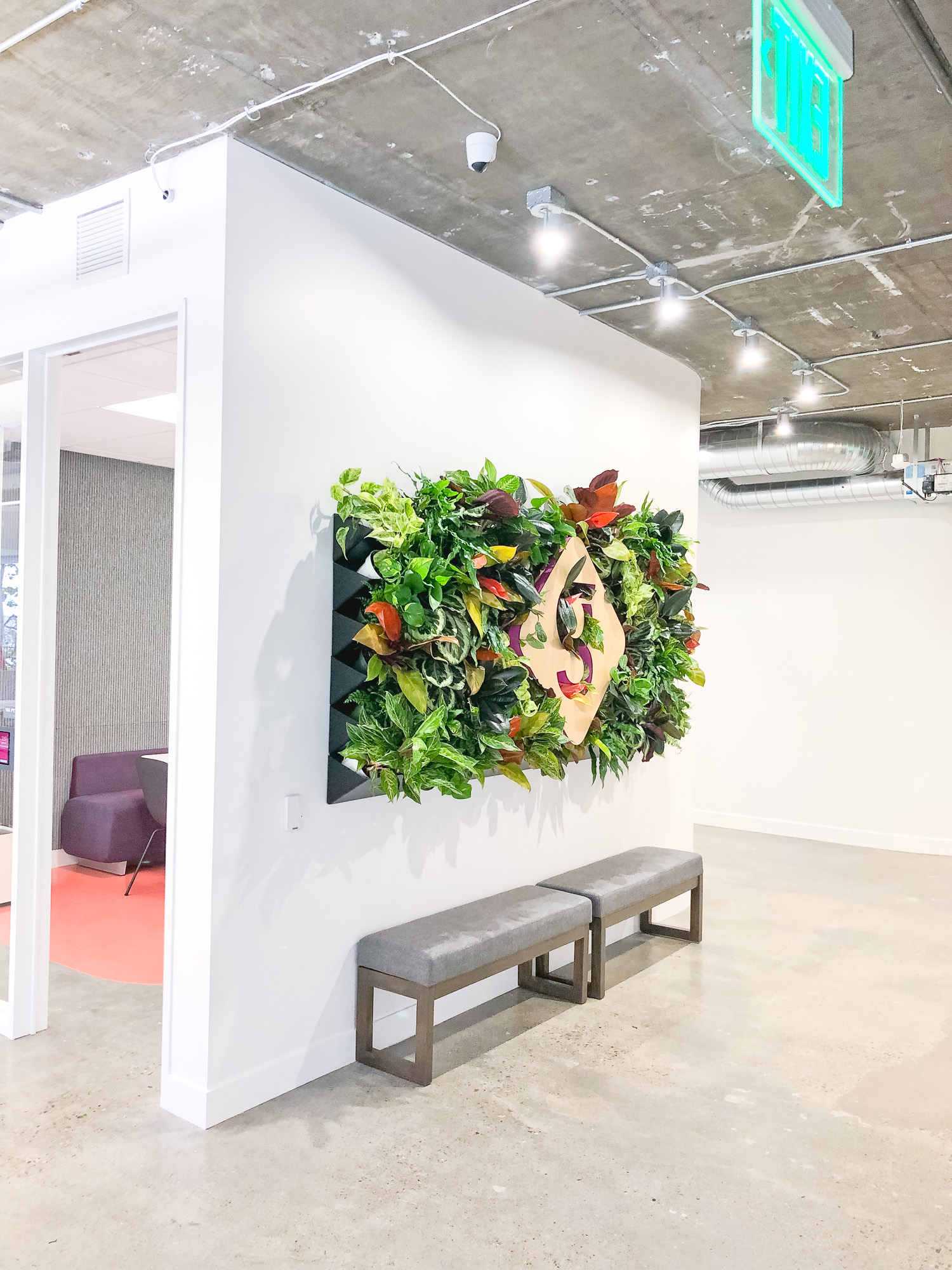 Light wood sign with colored edges on living wall for the lobby of Getaround, an online car sharing or peer-to-peer carsharing service. Light wood sign with colored edges on living wall for the lobby of Getaround, an online car sharing or peer-to-peer carsharing service.