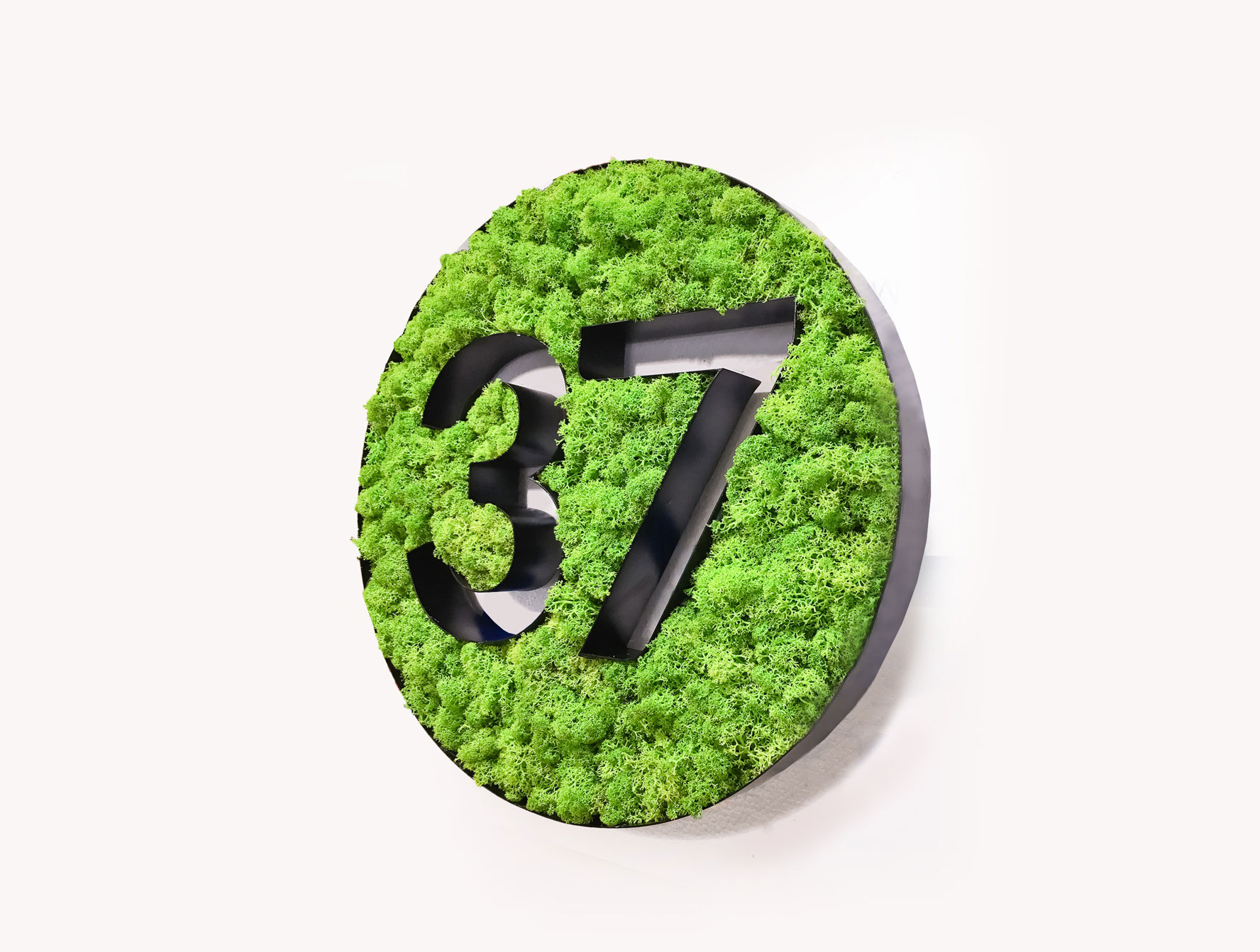 Two-toned, moss filled letters for Science37, a mobile technology and clinical trial company. Two-toned, moss filled letters for Science37, a mobile technology and clinical trial company.
