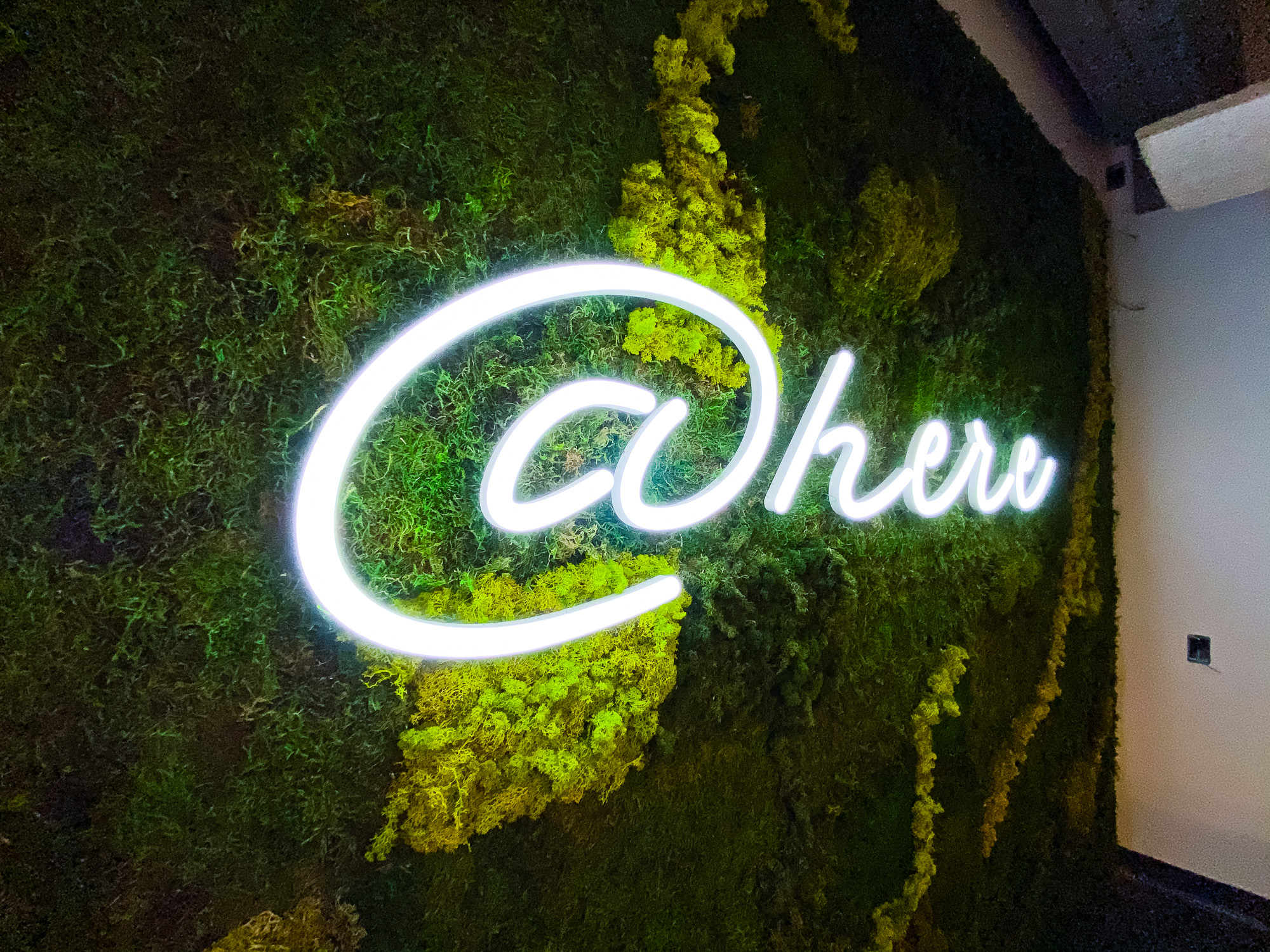 Neon-style @here sign on moss / living wall for the cafeteria/kitchen of Scale, a San Francisco based company delivering high quality training data for AI applications such as self-driving cars, mapping, AR/VR, robotics, and more. Neon-style @here sign on moss / living wall for the cafeteria/kitchen of Scale, a San Francisco based company delivering high quality training data for AI applications such as self-driving cars, mapping, AR/VR, robotics, and more.
