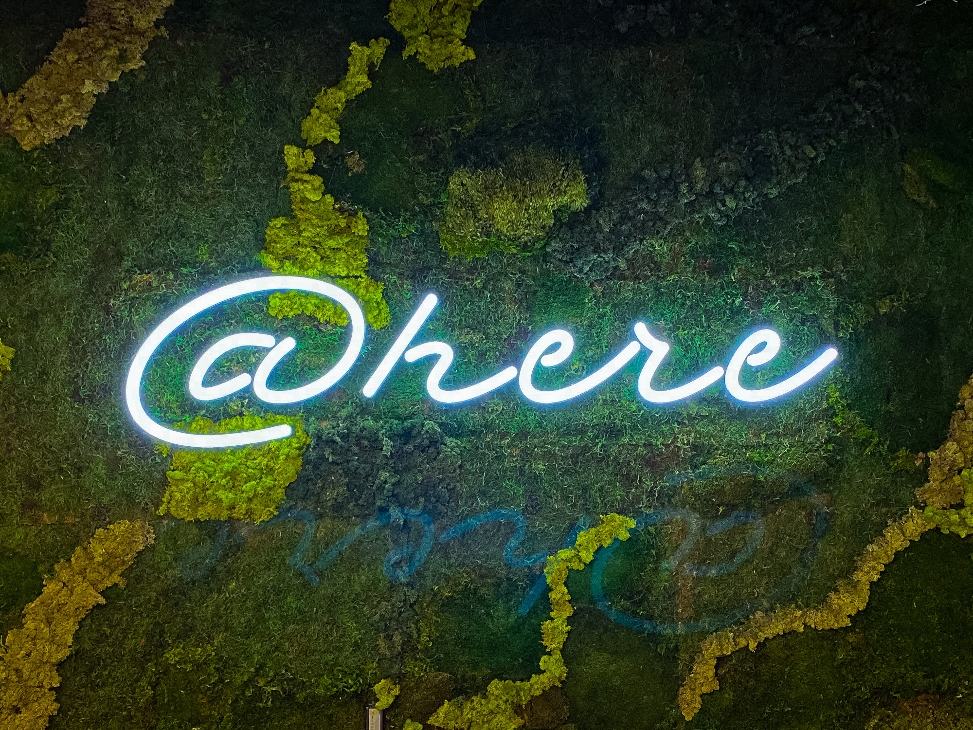 Neon-style @here sign on moss / living wall for the cafeteria/kitchen of Scale, a San Francisco based company delivering high quality training data for AI applications such as self-driving cars, mapping, AR/VR, robotics, and more.