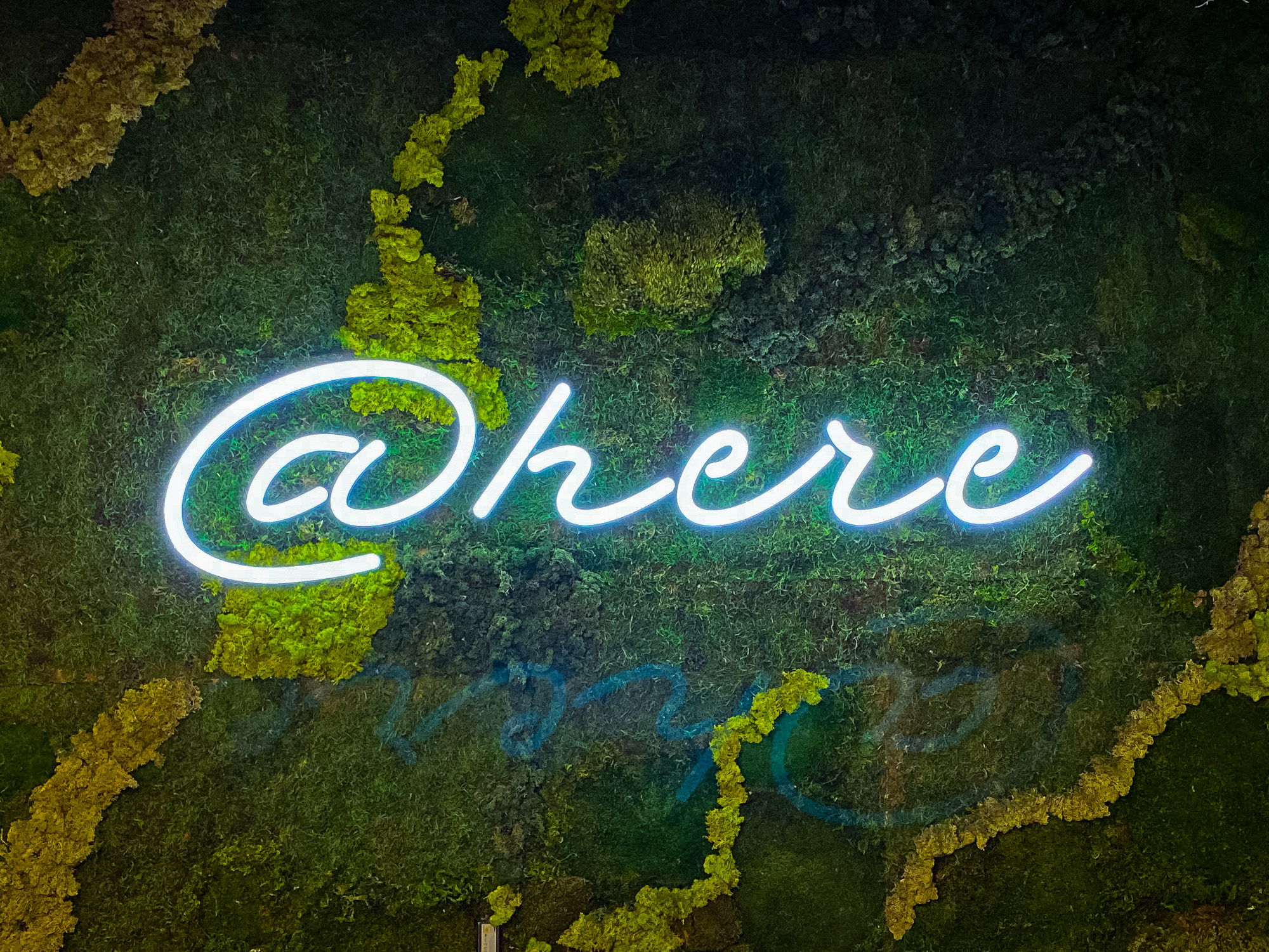 scale-@here-straight Neon-style @here sign on moss / living wall for the cafeteria/kitchen of Scale, a San Francisco based company delivering high quality training data for AI applications such as self-driving cars, mapping, AR/VR, robotics, and more.