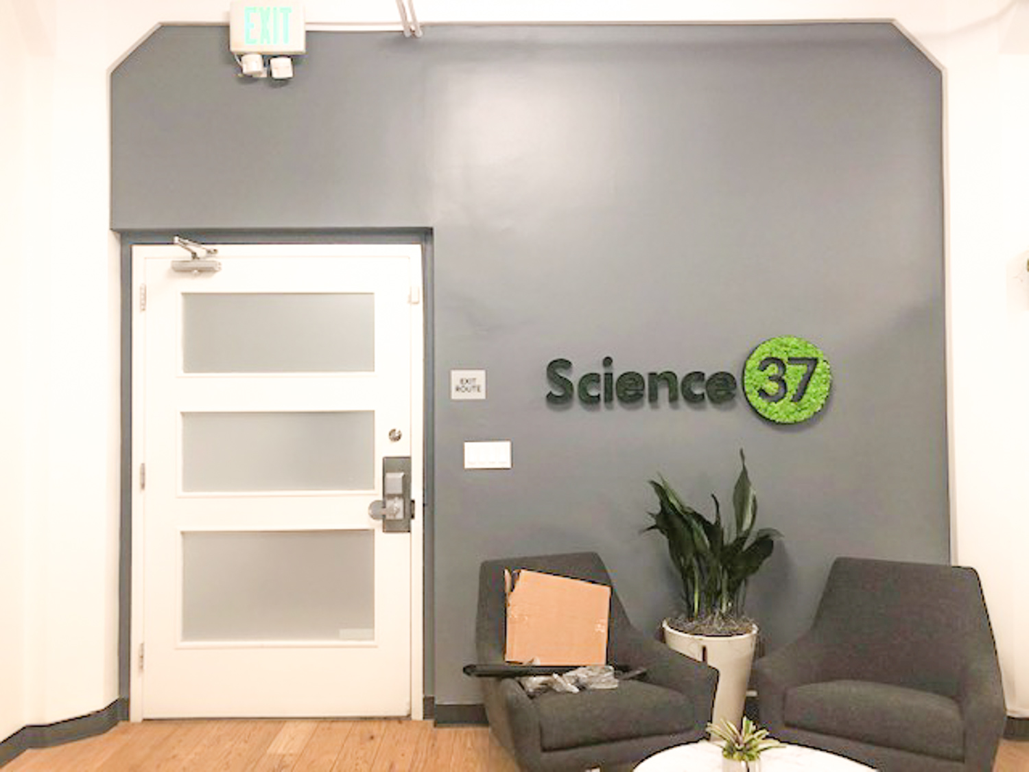 Two-toned, moss filled letters for Science37, a mobile technology and clinical trial company. Two-toned, moss filled letters for Science37, a mobile technology and clinical trial company.
