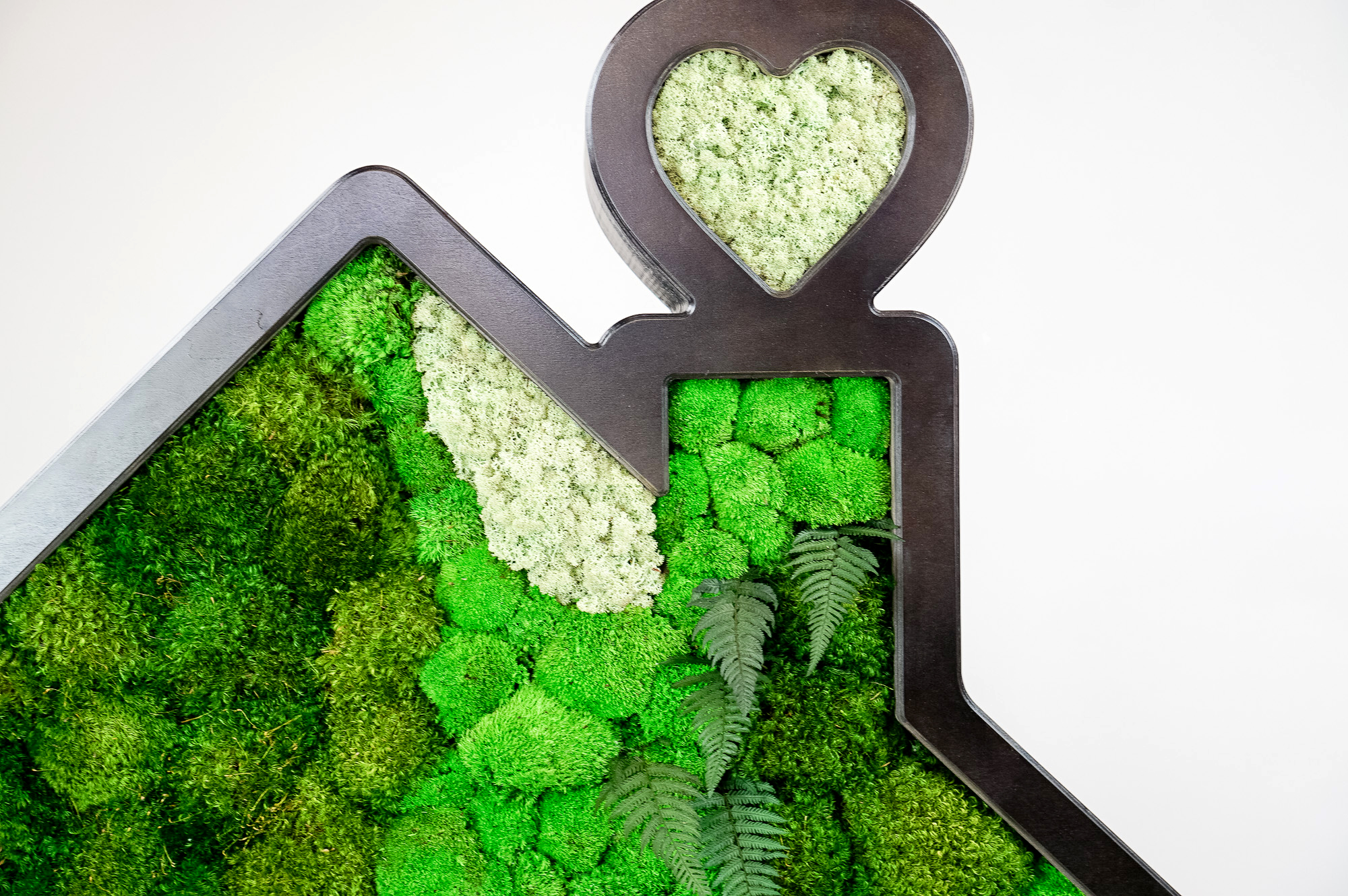 Dark wood house silhouette logo filled with preserved moss art for Zumper, a full-service rental platform. Dark wood house silhouette logo filled with preserved moss art for Zumper, a full-service rental platform.