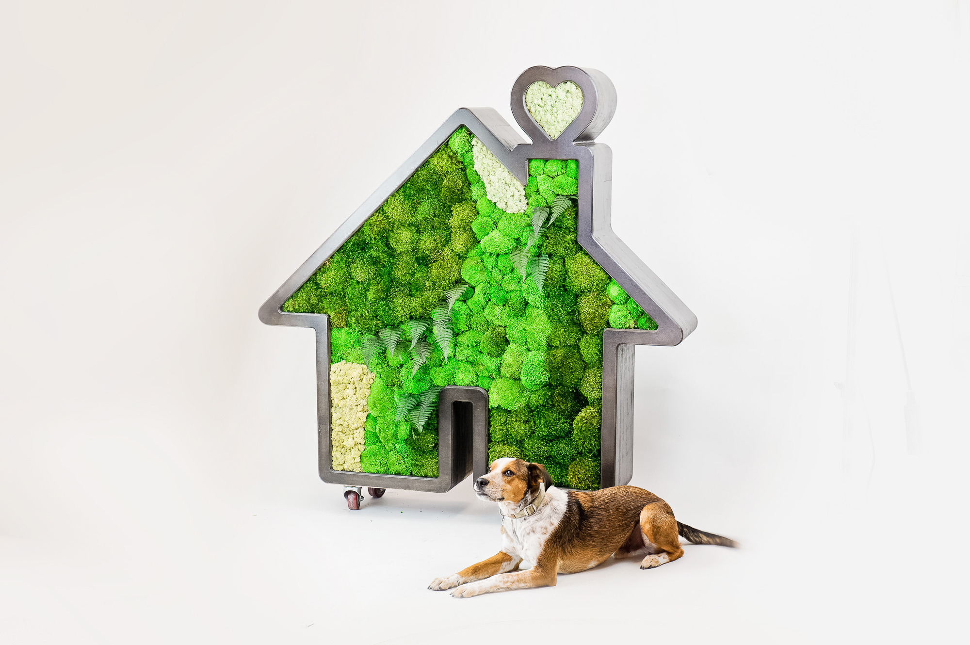 Dark wood house silhouette logo filled with preserved moss art for Zumper, a full-service rental platform.