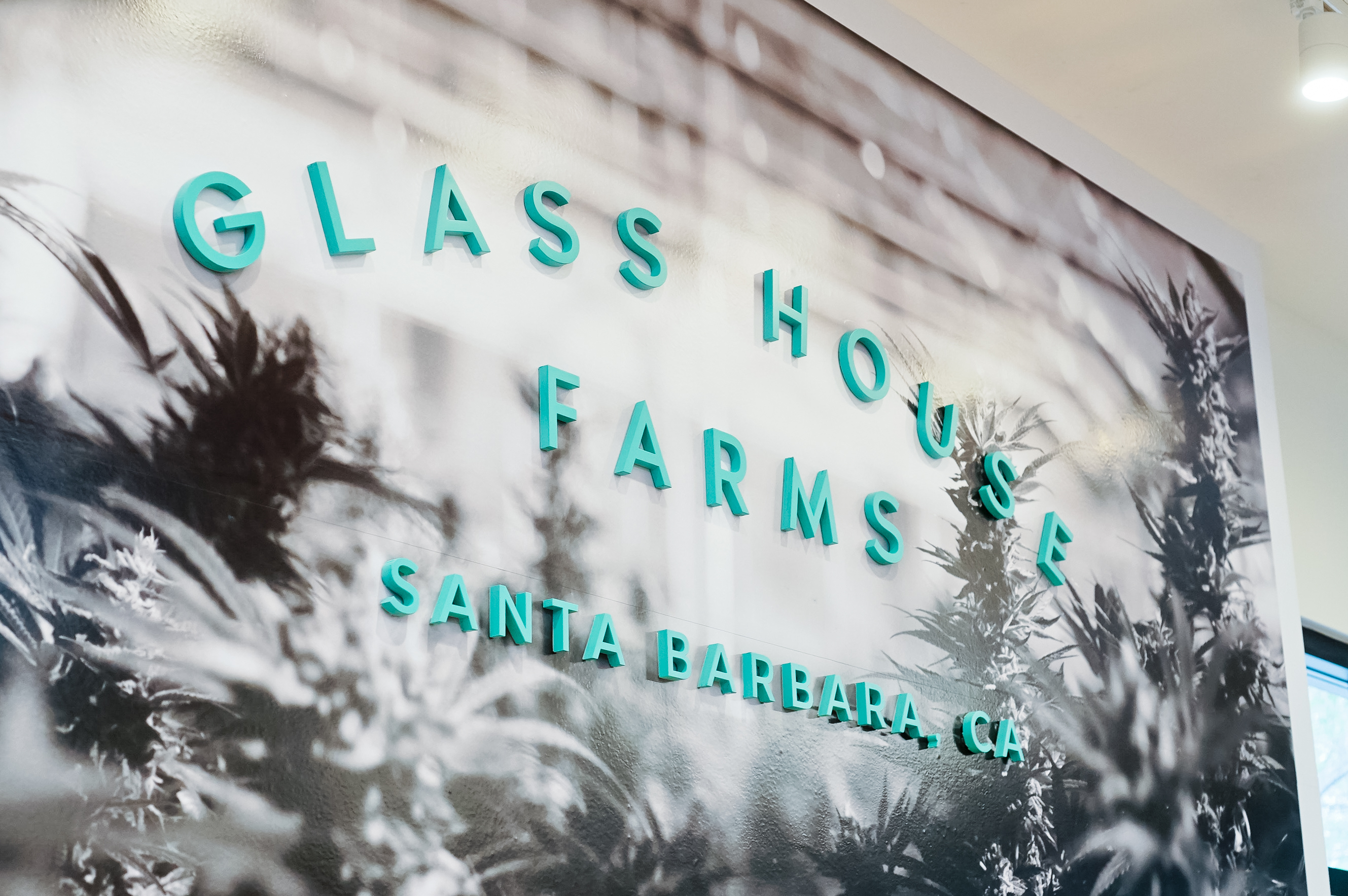 Teal letters on black and white photo mural for the retail display for Glass House Farms, a cannabis nursery in Santa Barbara, CA. Teal letters on black and white photo mural for the retail display for Glass House Farms, a cannabis nursery in Santa Barbara, CA.