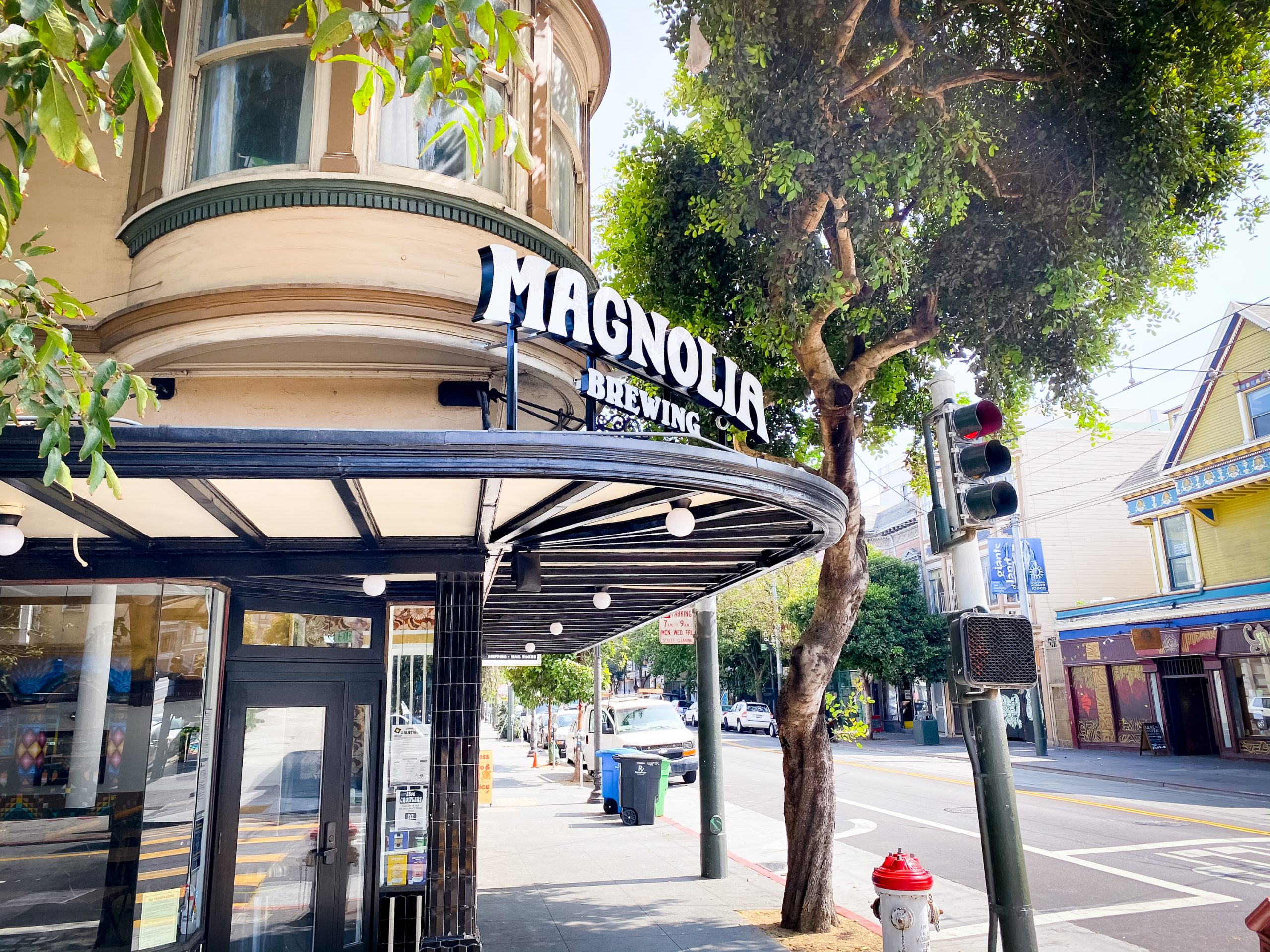 magnolia-wide