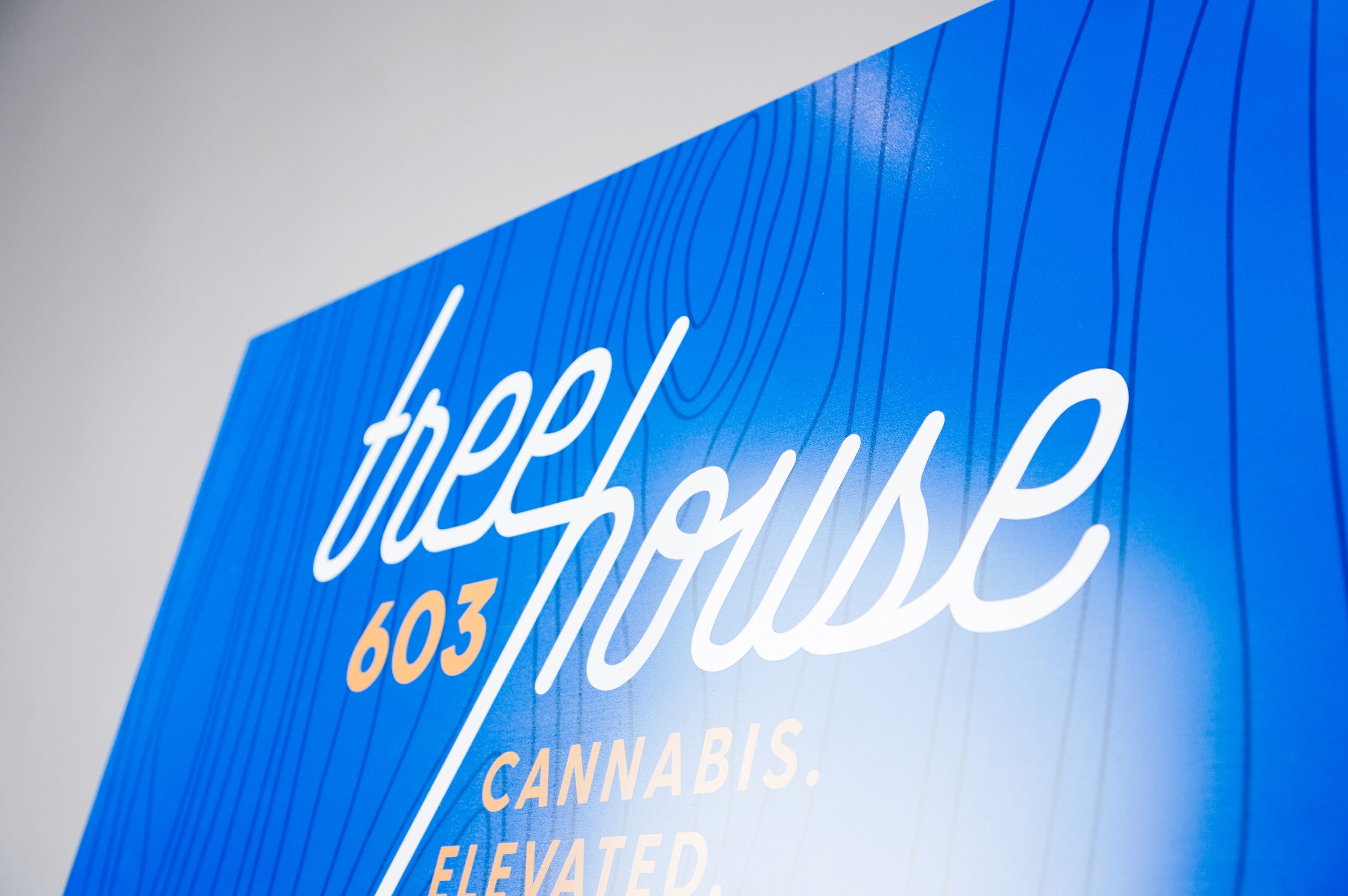 treehouse-603-closeup