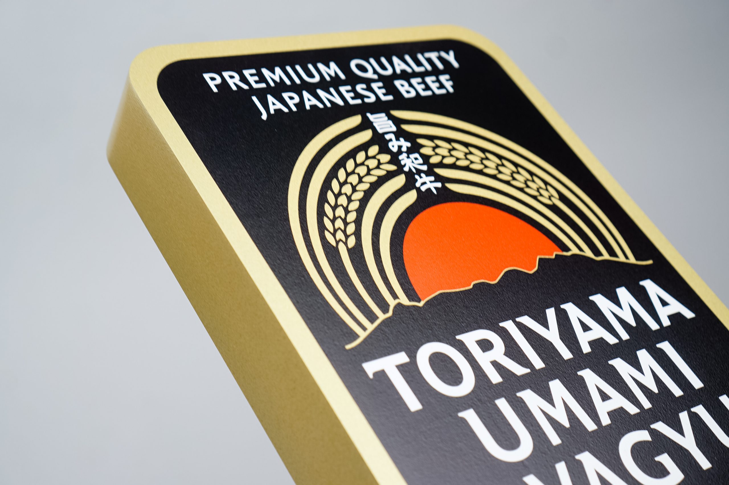 toriyama-closeup