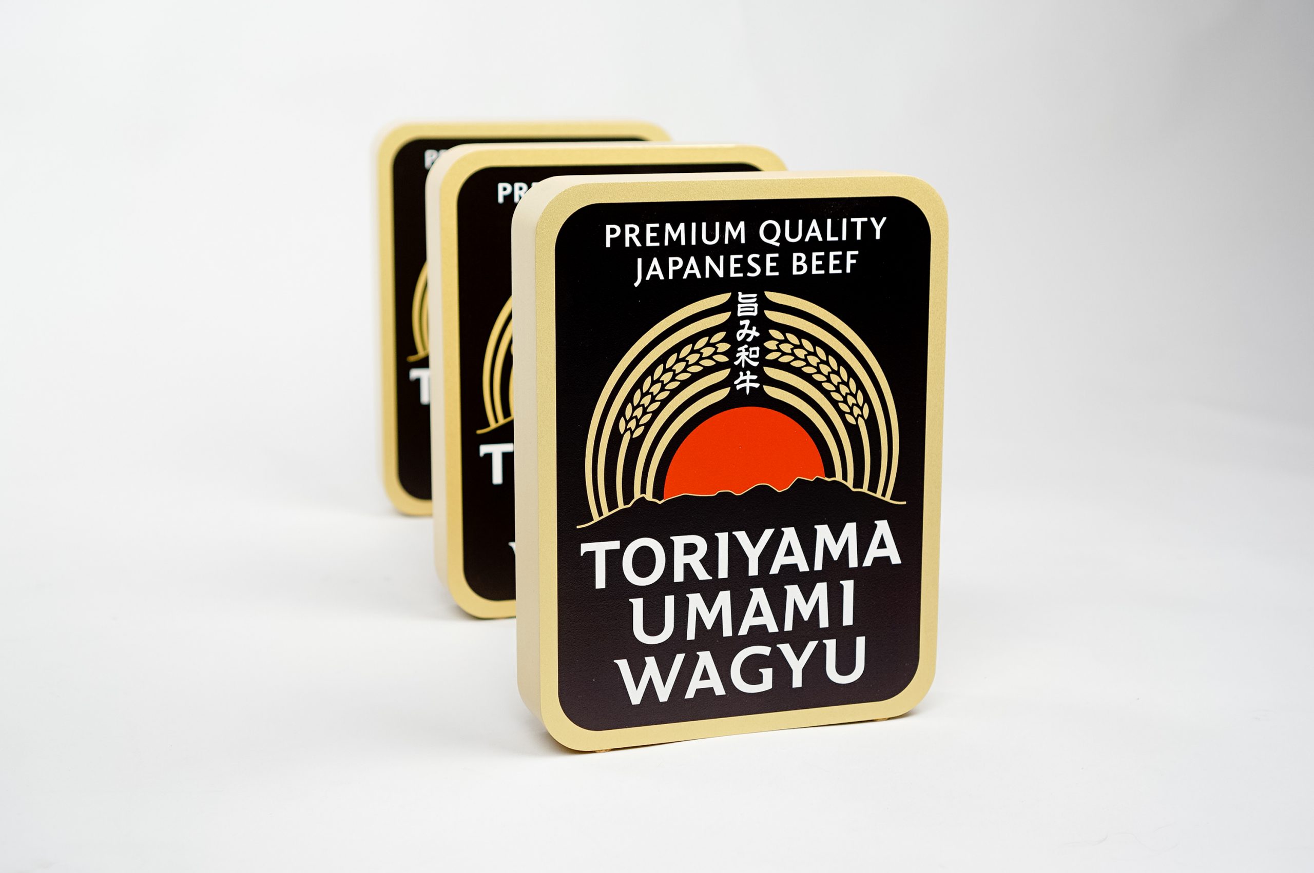 toriyama-left