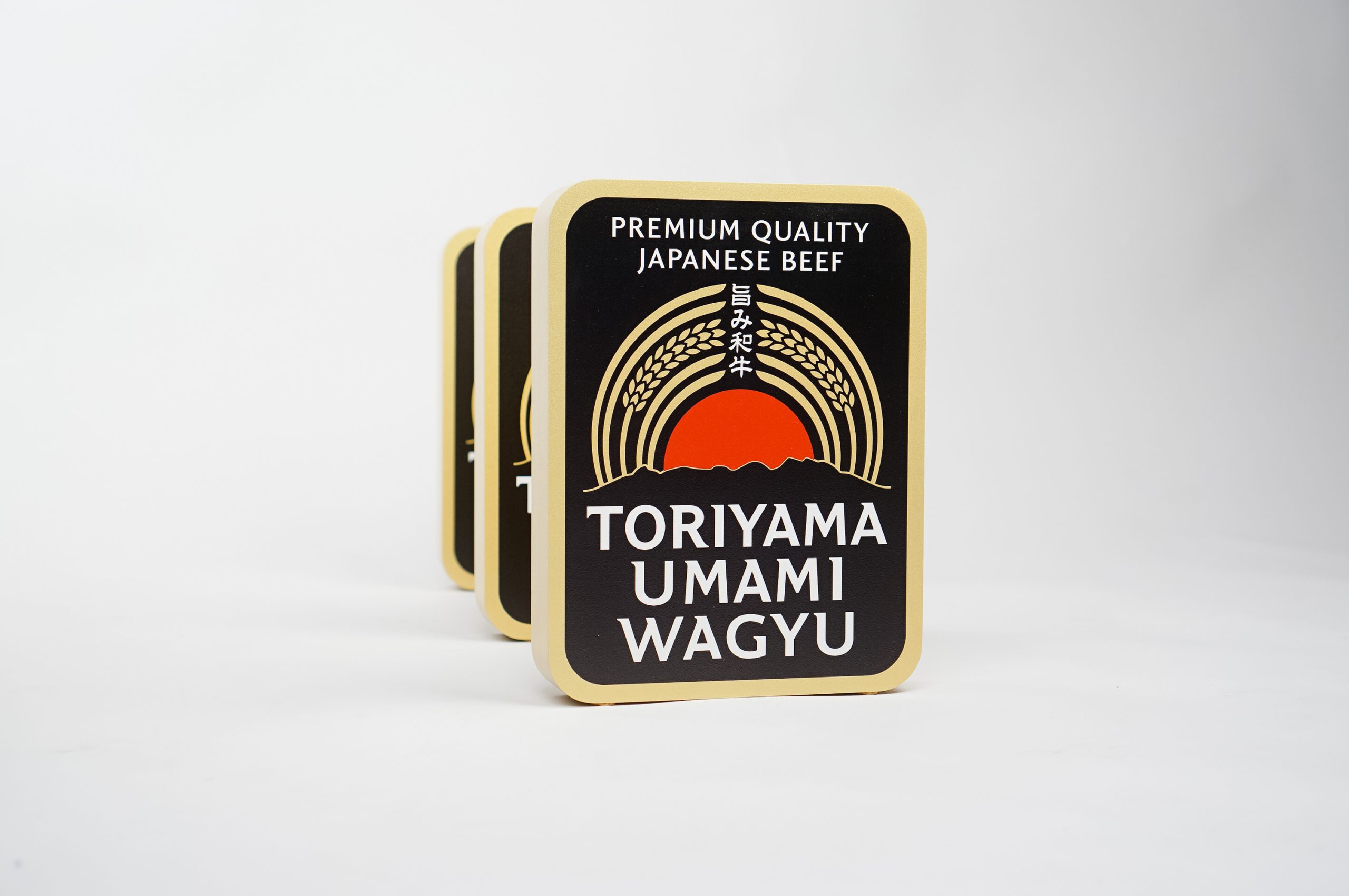 toriyama-left2