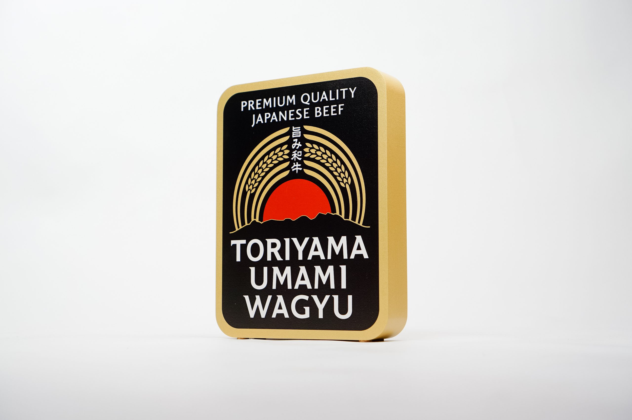 toriyama-single