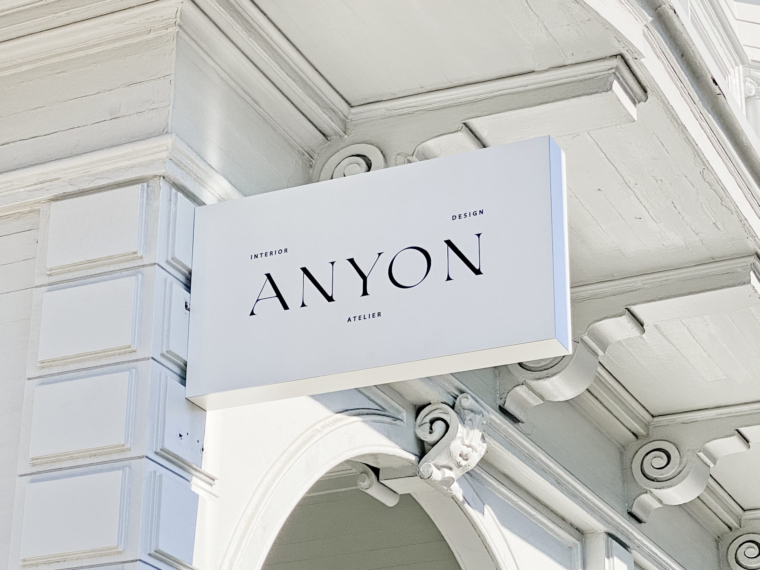 anyon-hero
