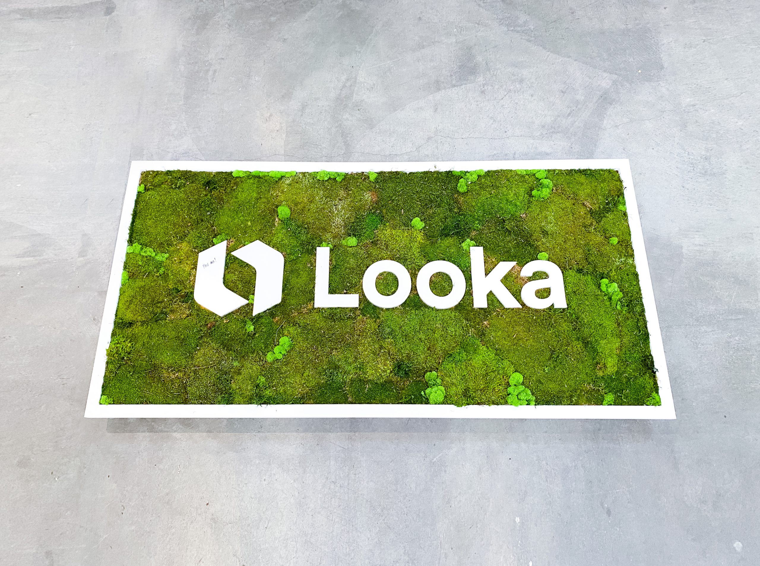 looka-1
