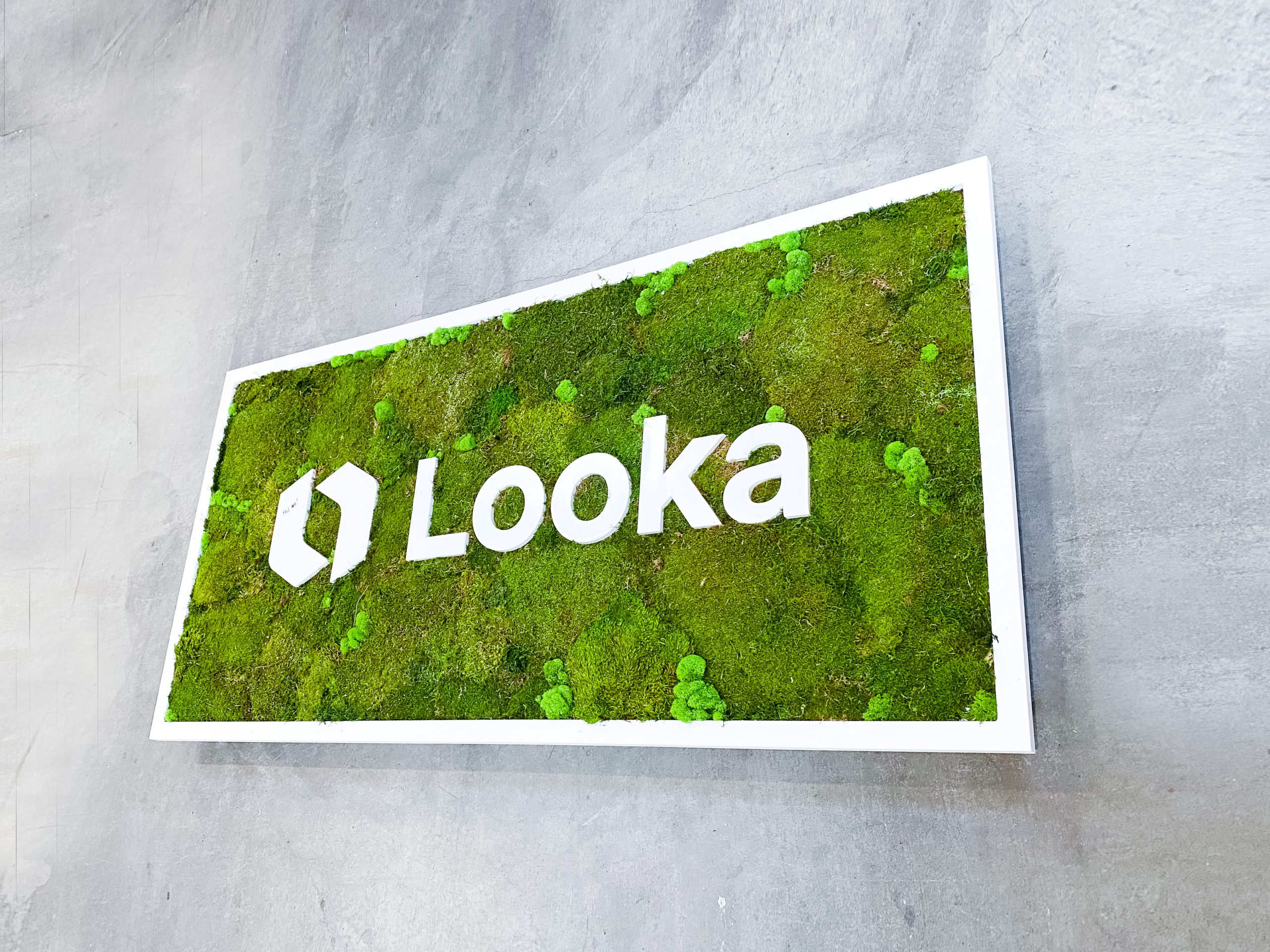 looka-3