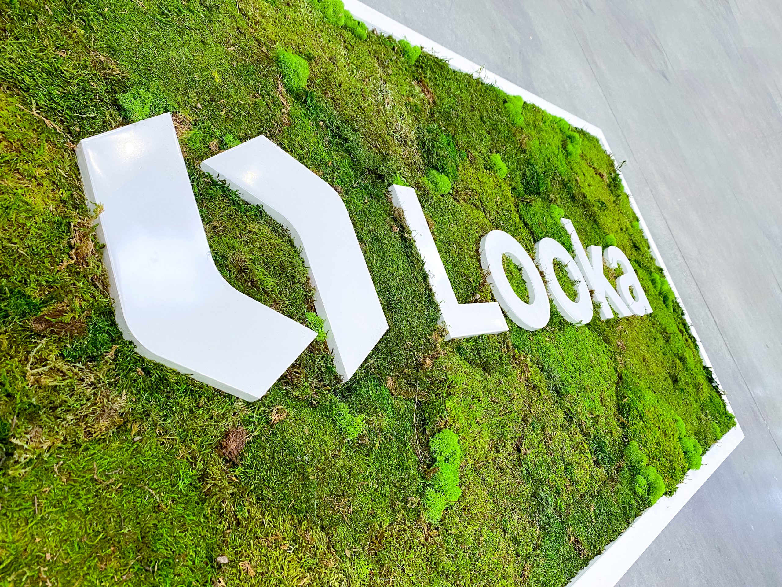 looka-5