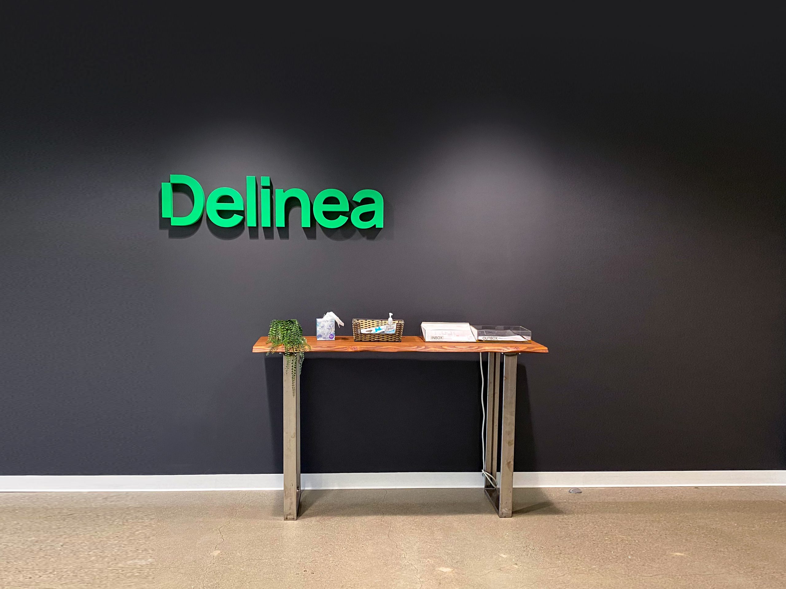 delinea-straight