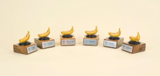 Our Team is Bananas