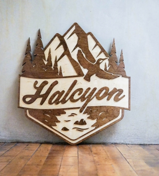 Halcyon Financial