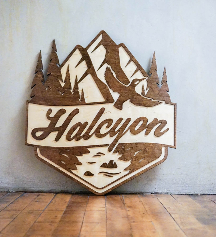 Halcyon Financial