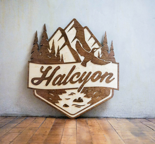 Halcyon Financial