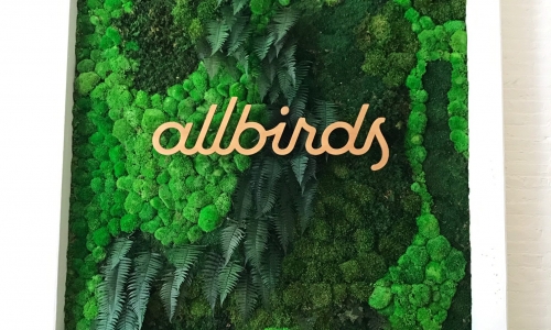 Light wood script sign on living moss wall for Allbirds, a San Francisco-based startup aimed at designing environmentally friendly footwear.