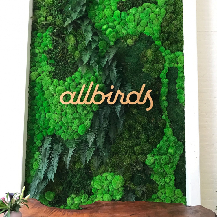 Light wood script sign on living moss wall for Allbirds, a San Francisco-based startup aimed at designing environmentally friendly footwear.