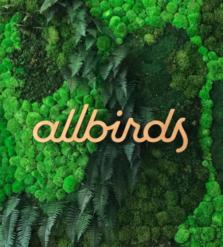 Allbirds