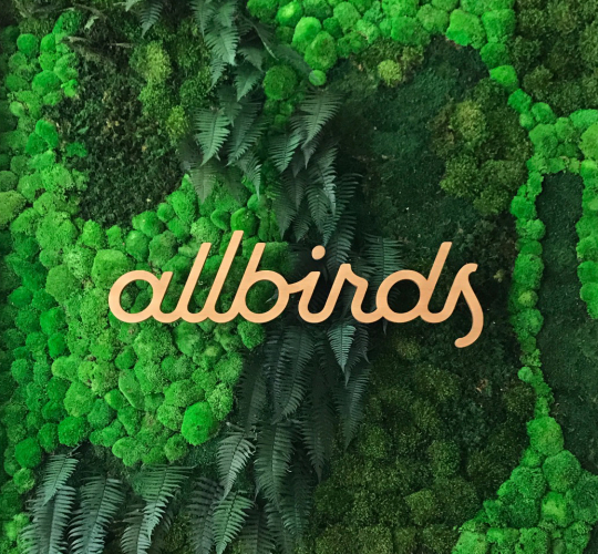 Allbirds