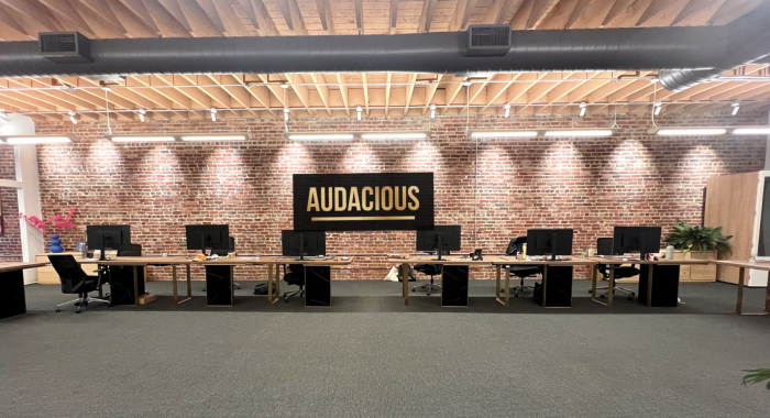 audacious-process-2