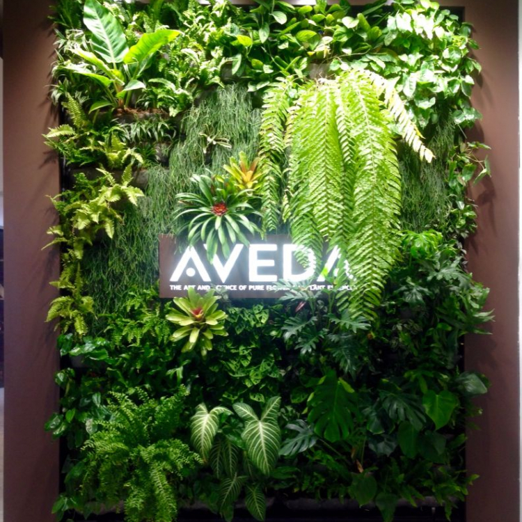 Illuminated sign on living wall at Aveda