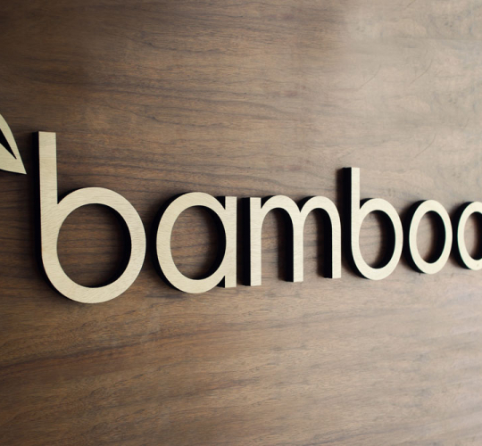 Bamboo HR