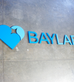 Baylabs