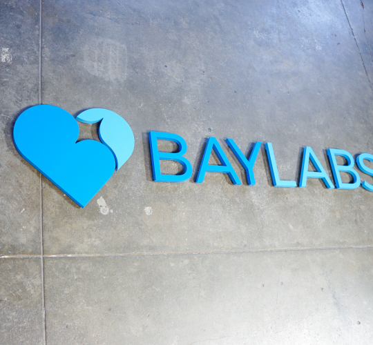 Baylabs