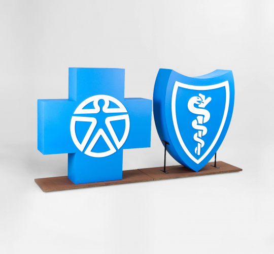 Blue Cross Blue Shield